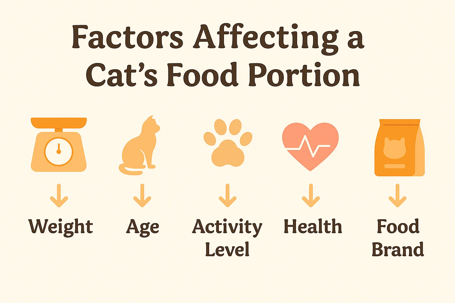 Factors affecting a cat's food portion